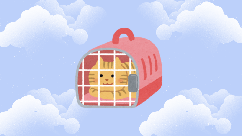 Zona de cargo especial para mascotas en avión
