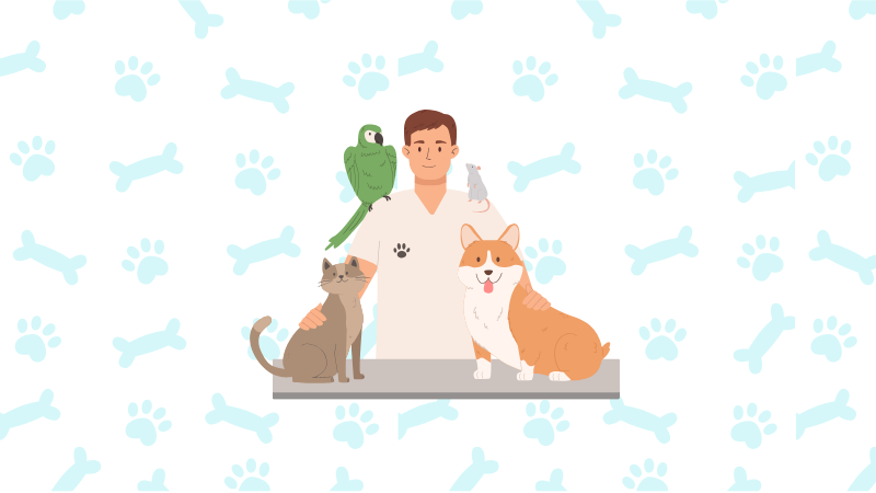 Veterinario revisando a una mascota antes del viaje internacional